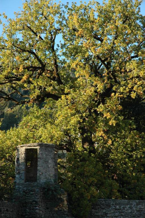 Agriturismo Casteldelpiano Licciana Nardi Exteriér fotografie